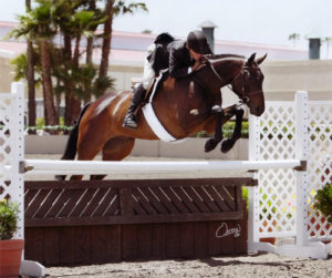 John French and After Five owned by Stephanie Danhakl Champion 1st Year Green Working Hunters 2010 Del Mar National Photo Osteen