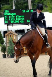 Lily Blavin and Montague Large Junior Hunter 16-17 2014 Devon Horse Show