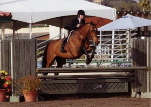 Jenny Ross and Piper owned by Sylvia OConnor 3'3" Performance Hunter 2012 Del Mar National Photo Osteen
