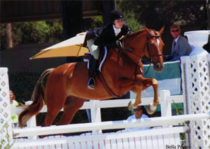 Jessica Singer and Cabo Z Adult Hunter 18-25 2012 Menlo Charity Photo Bella Peyser
