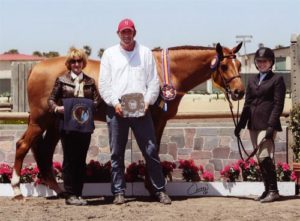 Ashley Pryde and Pringle Champion and Grand Champion Junior Hunters 2010 Del Mar National Photo Osteen