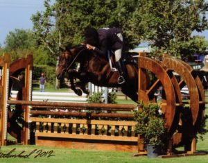 Victory Road and Kingsley owned by Richard Boh Champion First Year Green Hunter 2012 Blenheim Photo Flying Horse
