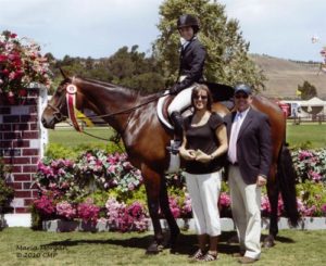 After Five owned by Stephanie Danhakl Reserve Champion Large Junior 16-17 2010 Junior Hunter Finals Photo Captured Moment