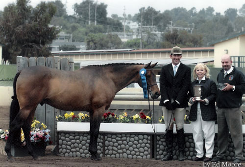 Archie Cox and Chance Showdown Perpetual Trophy Winner and Regular Conformation Stake Class Winner 2005 Del Mar National Photo Ed Moore