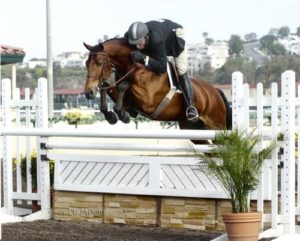 Archie Cox and White Oak owned by Delanie Stone Zone 10 Champion Regular Conformation 2007 Del Mar National Horse Show Photo Ed Moore