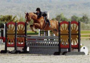 Gabbi Langston and Azian owned by Fastball Farm Circuit Champion Large Junior Hunters 16-17 2010 HITS Desert Circuit Photo Flying Horse
