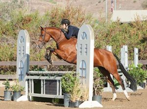 Gina Ross and Equity Champion Amateur Owner Hunter 2016 Blenheim Fall Tournament Photo Amy McCool