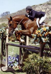 Jamie Krauss and Querido owned by Emma Gerber Regular Conformation Hunter 2010 Blenheim Photo Captured Moment Photography