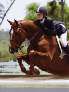 Lucy Davis and Red Rooster Champion Small Junior Hunters 2008 Showpark Ranch & Coast Photo Laurie Weiner