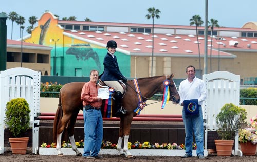 Polly Sweeney and Duet Best Adult Rider 2013 Del Mar National Photo Osteen
