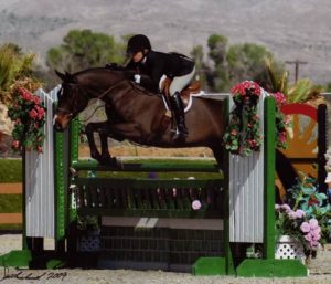 Teddi Mellencamp on All That Jazz owned by Rudy Leone Mid-Circuit Reserve Champion Regular Conformation Hunters 2009 HITS Desert Circuit Photo Flying Horse