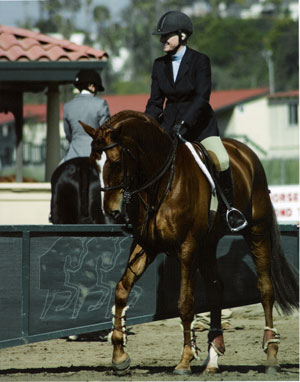 Amy Brubaker and Fenwick Champion Hunt Seat Equitation 36 and Over Photo Laurie Weiner