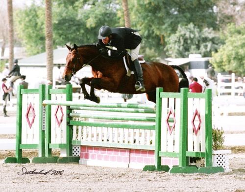 Archie Cox and Out of Bounds owned by Joan Hasteltine 2006 HITS Desert Circuit 2nd Year Green Working Hunters and Regular Conformation Hunters Photo Flying Horse
