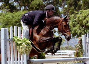 Archie Cox and Truly owned by Ashley Pryde Champion Regular Working Hunters 2008 Showpark Racing Festival Photo Captured Moment