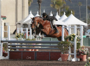 Laura Wasserman and Back in the Game Champion Amateur Owner 36 & Over 2013 Del Mar National Photo Osteen
