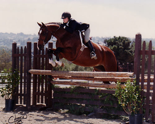 Stephanie Danhakl and Henley Champion Small Junior Hunter 2003 Portuguese Bend National Photo Osteen