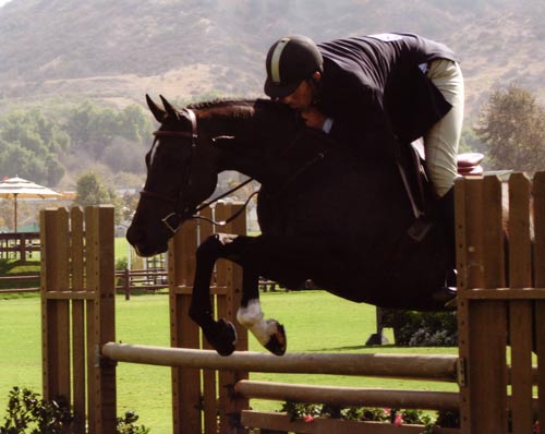 Archie Cox and Czech owned by Laura Wasserman 2nd Year Green Working Hunters Blenheim 2009 Photo Carl the great Green