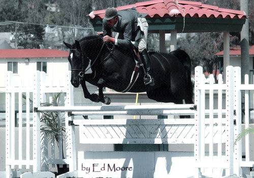 Archie Cox and Macondry owned by Kelly Johnson 2005 Del Mar National Photo Ed Moore