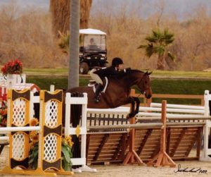 Cayla Richards on Capone owned by Stephanie Danhakl Circuit Champion Small Junior Hunters 2009 HITS Desert Circuit Photo Flying Horse
