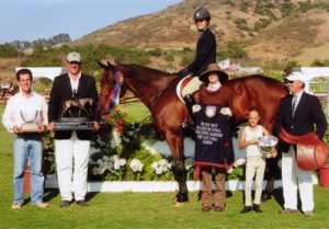In Sync owned by Stephanie Danhakl Grand Champion 2005 Junior Hunter Finals Photo JumpShot