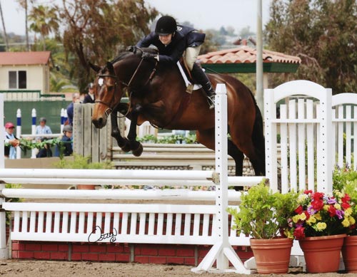 Lucy Davis and Harmony owned by Old Oak Farm Large Junior Hunter 2009 Del Mar National Photo Osteen