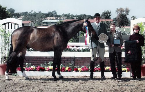 Archie Cox and Call Me Champion Green Hunter and Winner Couldn't Resist Perpetual Trophy 2003 Del Mar National Photo Ed Moore