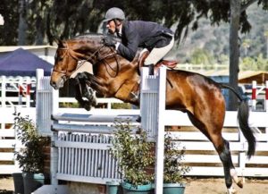 Archie Cox and Quality Time owned by Laura Wasserman 2007 Del Mar National Photo Ed Moore