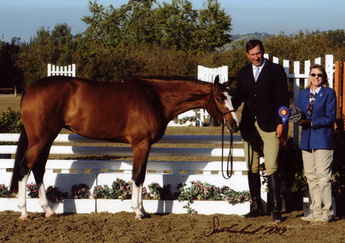 Archie Cox handling Outstanding Best Young Horse 2009 Blenheim Spring Classic III Photo Flying Horse