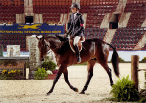 Emma Gerber and Stay Tuned Small Junior Hunter 16-17 2012 Pennsylvania National Photo Al Cook