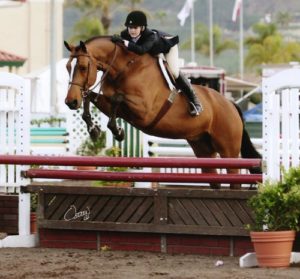 Lucy Davis on Overseas owned by Laura Wasserman Large Junior Hunter 2009 Del Mar National Photo Osteen
