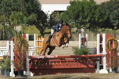 Pops Panda and Teddi Mellencamp owned by Lisa Stoway Pregreen Hunter 2011 Los Angeles National Photo Flying Horse