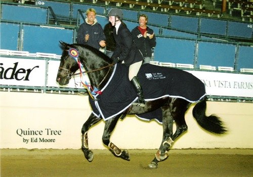 Cathleen Calvert and Norton Winner $25,000 Del Mar Equitation Class 2003 Del Mar National Photo Ed Moore