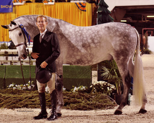 John French and Cruise owned by Jessica Singer Green Conformation Hunter 2010 Pennsylvania National Horse Show Photo Al Cook
