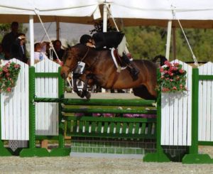 John French on Scout owned by Carolyn Clark-Morrison Circuit Champion Regular Working Hunters 2009 HITS Desert Circuit Photo Flying Horse