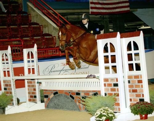 Lucy Davis and Red Rooster Small Junior Hunters 15 & Under 2008 Pennsylvania National Horse Show Photo Anne K Gittens