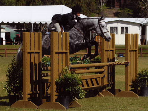 Teddi Mellencamp and Glenview owned by Stephanie Danhakl Champion Green Conformation Working Hunters 2009 Blenheim Spring Classic III Photo Flying Horse