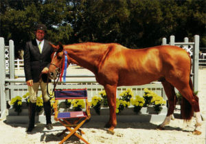 Archie Cox and Pringle owned by Lily Blavin Champion 3'3" Performance Hunter 2012 Menlo Charity Photo JumpShot
