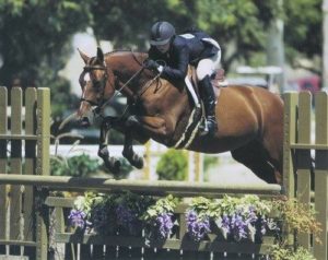 Ashley Pryde and The Frog Prince Numerous Champions Small Junior Hunters 15 and Under 2007 Oaks Blenheim Photo by JumpShot