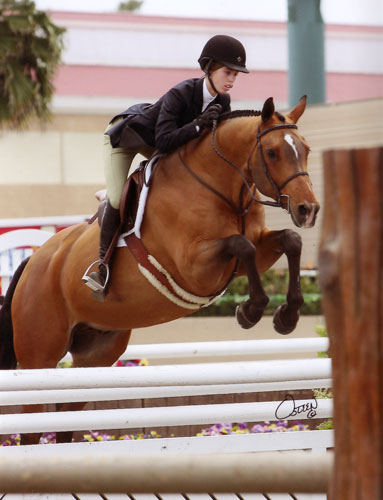 Gabbi Langton and Lexus owned by Fastball Farm Small Junior Hunters 2009 Del Mar National Photo Osteen
