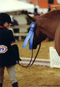 Pringle Owned by Lily Blavin 2012 USEF National Champion 3'3" Performance Working Hunter Photo Cathrin Cammett