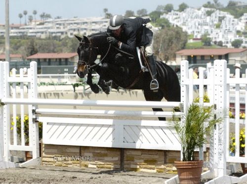 Archie Cox and Henderson owned by Jane Fraze 2007 Del Mar National Photo Ed Moore