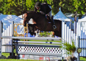 Archie Cox and Victory Road owned by Harriet Posner Regular Conformation Hunter 2012 Menlo Charity Horse Show Photo Bella Peyser