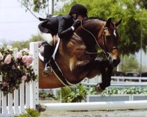 Ashley Pryde and Truly Large Junior Hunters 15 & Under 2008 Showpark Ranch & Coast Photo Captured Moment