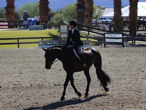 Brooke Sassa and Catwoman Large Junior Hunter 15 & Under 2014 HITS Desert Circuit Photo Flying Horse