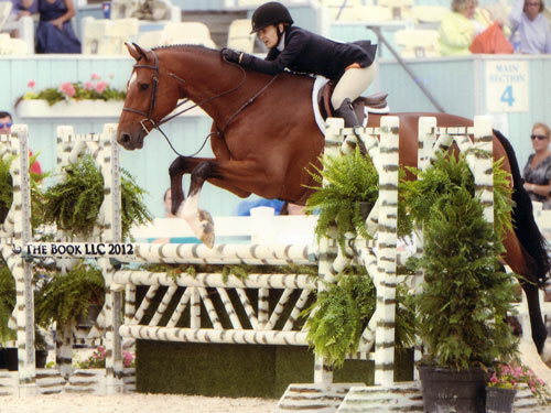 Laura Wasserman and Back in the Game Amateur/Owner Hunter 36 & Over 2012 Devon Horse Show Photo The Book LLC