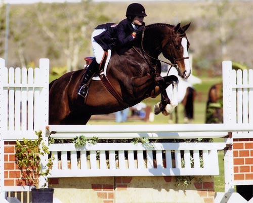 Lucy Davis and Clockwork owned by Old Oak Farm Champion Small Junior Hunters 15 and Under 2007 Blenheim Photo by JumpShot