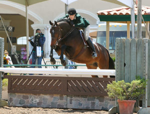 Montana Coady and Ranger Amateur Owner Hunter 2015 Del Mar National Photo Osteen