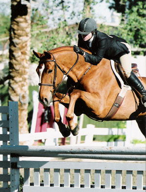 Amy Brubaker and Fenwick Champion 2006 PCHA Low Amateur Owner Hunters and Adult Equitation 36 and Over Photo Flying Horse