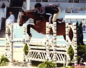 Archie Cox and After Five owned by Stephanie Danhakl Regular Conformation Hunter 2012 Devon Horse Show Photo The Book LLC