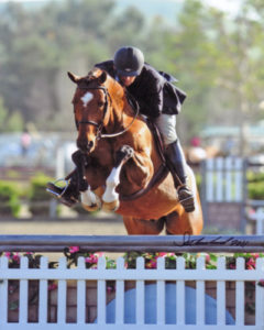 Archie Cox and Back In The Game owned by Laura Wasserman Blenheim 2011 Photo Flying Horse